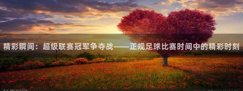 vsport体育阿根廷：精彩瞬间：超