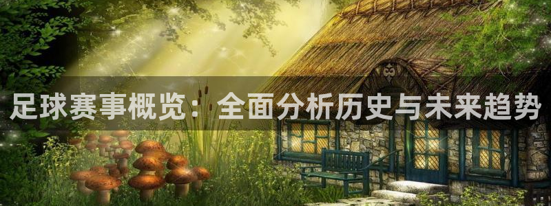 vsport体育在线官网阿根廷：足球赛事概览：全面分析历史与