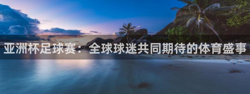 vsport体育平台app下载安装免费：亚洲杯足球赛：全球球