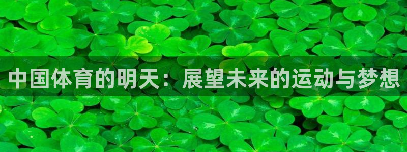 bbin视讯游戏官网：中国体育的明天：展望未来的运动与梦想