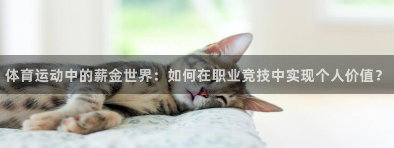 bbin视讯下：体育运动中的薪金世界：如何在职业竞技中实现个人价值？