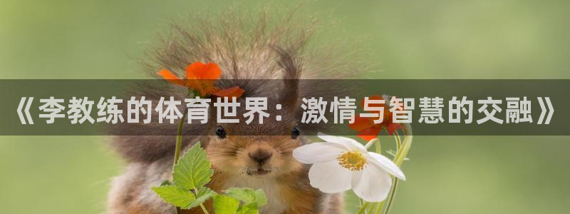 bbin视讯：《李教练的体育世界：激情与智慧的交融》