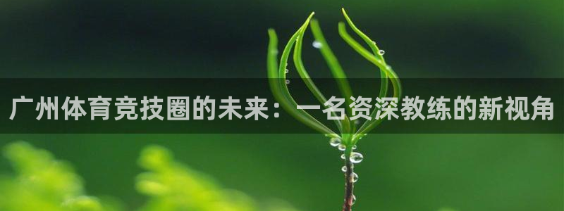 bbin视讯游戏平台：广州体育竞技圈的未来：一名资深教练的新视角