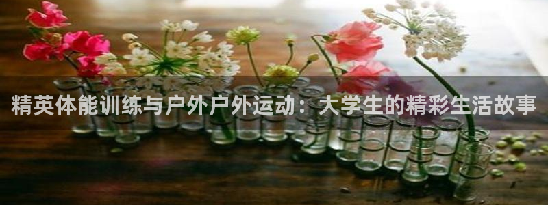 bbin视讯游戏平台：精英体能训练与户外户外运动：大学生的精彩生活故事