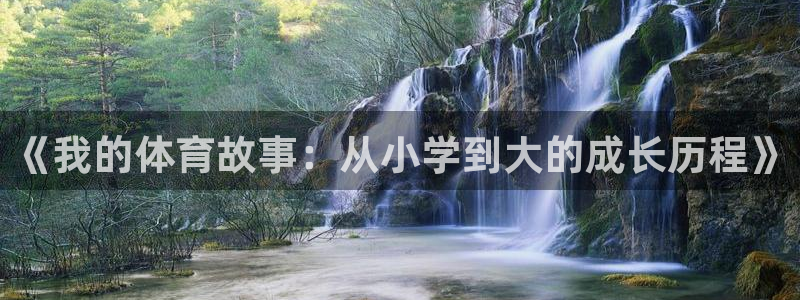 bbin视讯：《我的体育故事：从小学到大的成长历程》