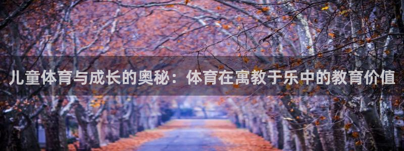 bbin视讯游戏官网：儿童体育与成长的奥秘：体育在寓教于乐中的教育价值