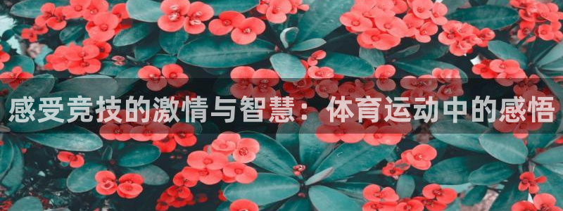 bbin视讯游戏官网：感受竞技的激情与智慧：体育运动中的感悟