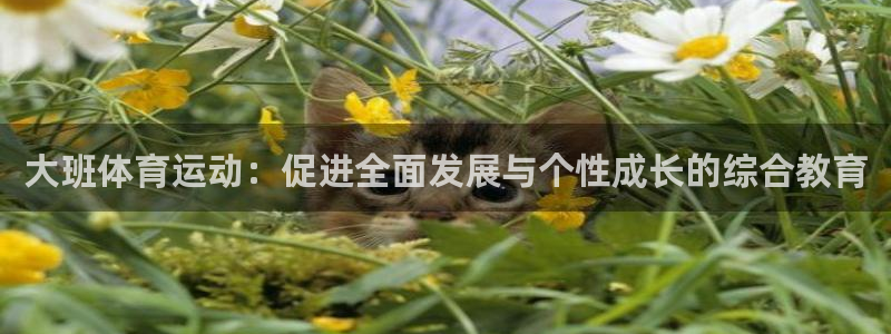 bbin视讯游戏平台：大班体育运动：促进全面发展与个性成长的综合教育